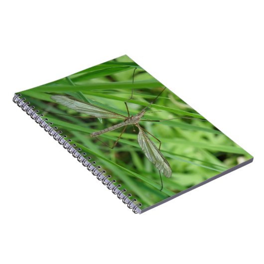 Carnet de vol de grue (Côté Droit)