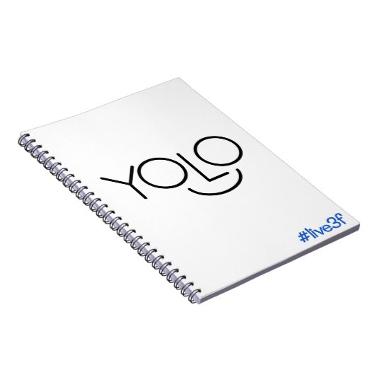 Carnet de YOLO (Côté Droit)