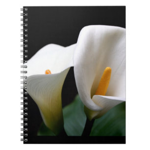 Carnet de zantedeschia