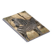 Carnet de zèbre de mère et de bébé (Côté Droit)