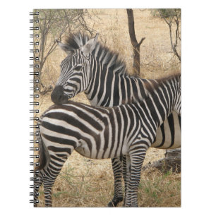 Carnet de zèbre de mère et de bébé