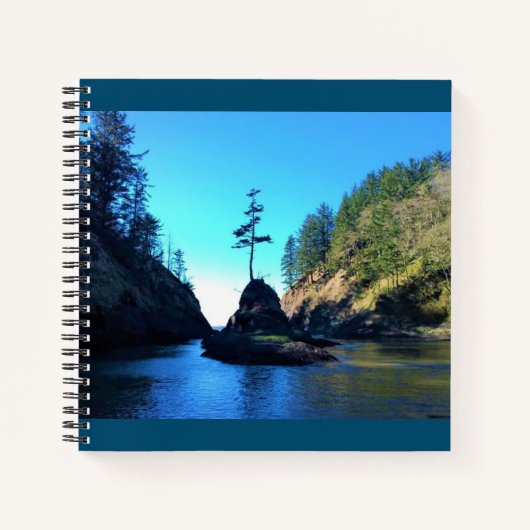 Carnet Dead Man's Cove, Cape Disappointment, Washington (Devant)