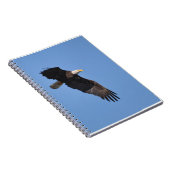 Carnet d'Eagle (Côté Droit)
