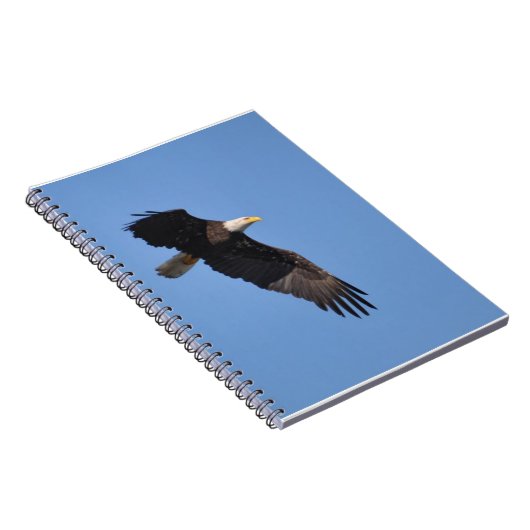 Carnet d'Eagle (Côté Droit)
