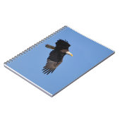 Carnet d'Eagle (Côté gauche)