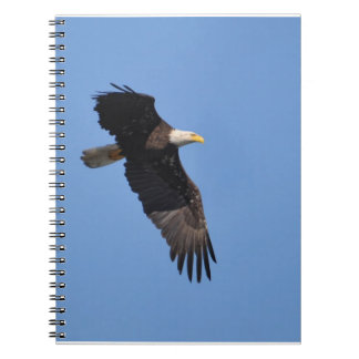 Carnet d'Eagle