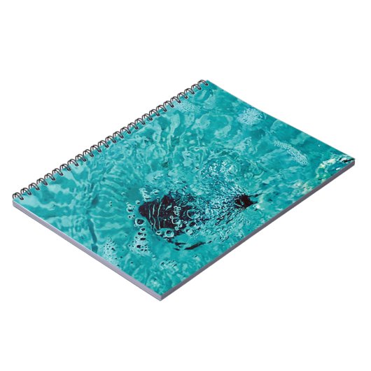 Carnet d'eau cinétique (Côté gauche)