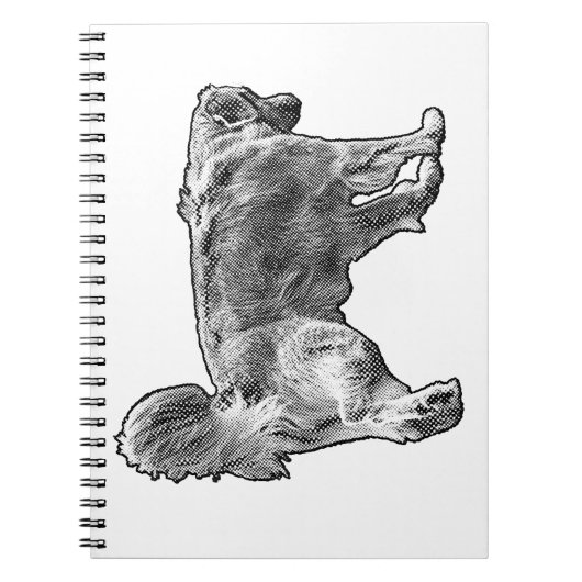 Carnet Décembre Listes d'or (Devant)