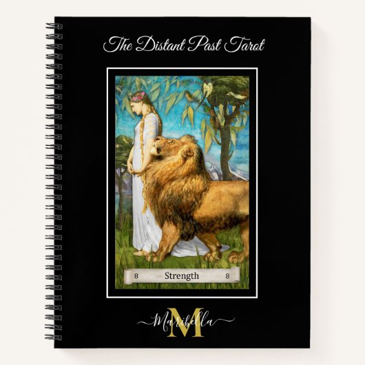 Carnet Deck de tarot The Distant Past carte de force mono (Devant)