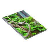 Carnet d'écureuil (Côté Droit)