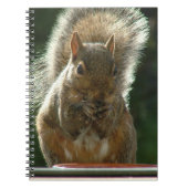 Carnet d'écureuil (Devant)