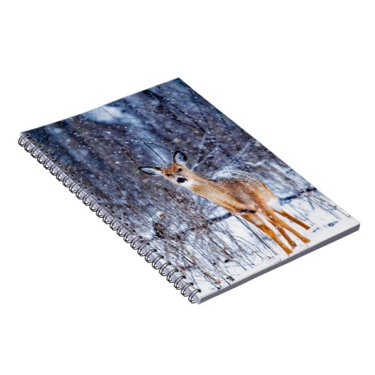 Carnet Deer in the Snow (Côté Droit)