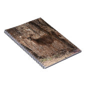 Carnet Deer Stare (Côté Droit)