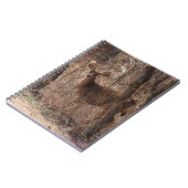 Carnet Deer Stare (Côté gauche)