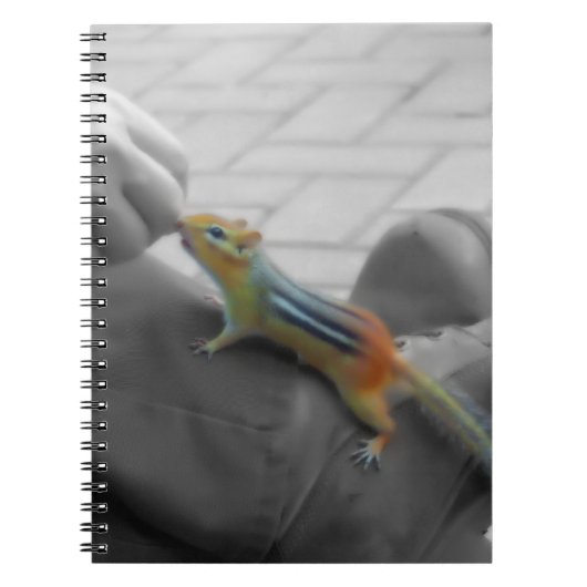 Carnet Déjeuner de tamia (Devant)