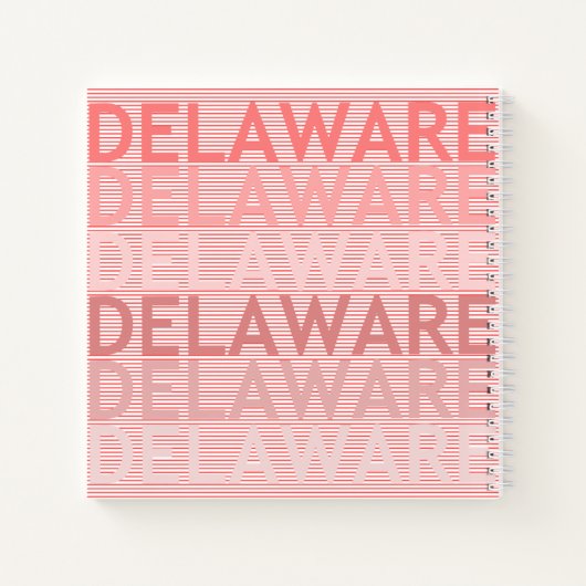 Carnet Delaware (Dos)