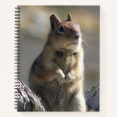 Carnet Demander l'écureuil terrestre Nature Photo (Devant)