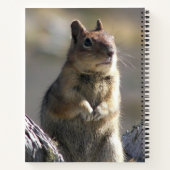 Carnet Demander l'écureuil terrestre Nature Photo (Dos)