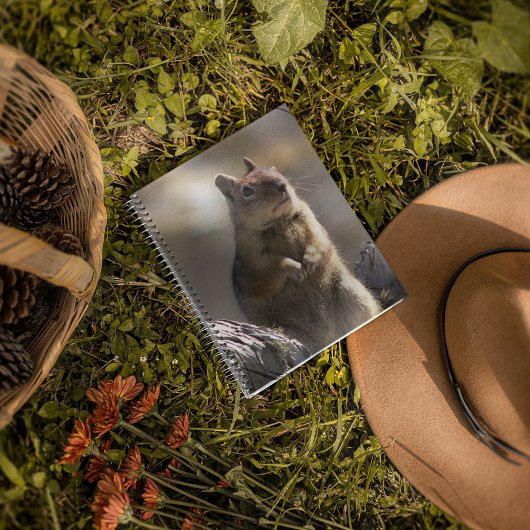 Carnet Demander l'écureuil terrestre Nature Photo