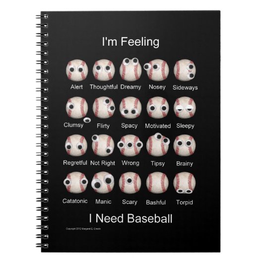 Carnet d'émotions du baseball (Devant)