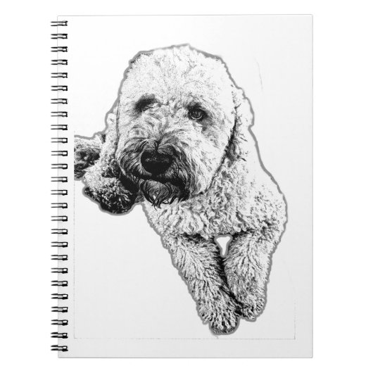 Carnet d'encre réaliste Lagotto (Devant)