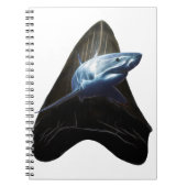Carnet Dent de requin 2019 (Devant)