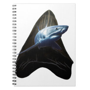 Carnet Dent de requin 2019