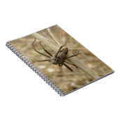 Carnet déplaisant Crawly Spider (Côté Droit)