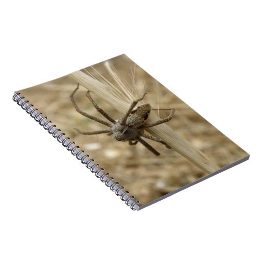 Carnet déplaisant Crawly Spider (Côté Droit)