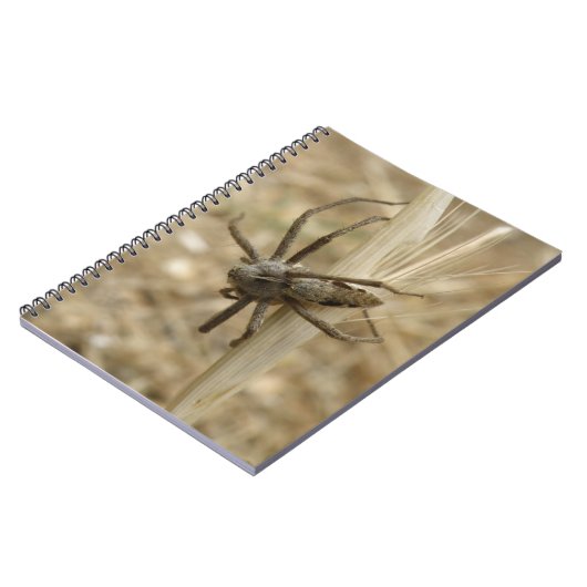 Carnet déplaisant Crawly Spider (Côté gauche)