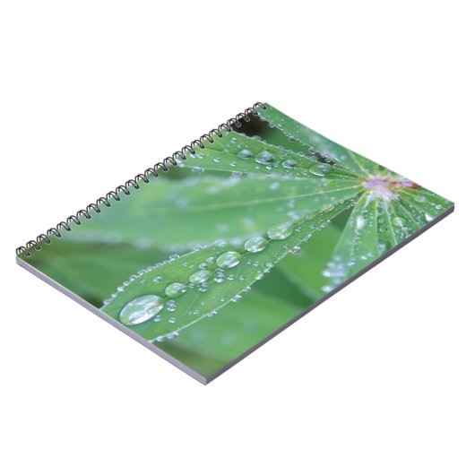 Carnet Déposer (Côté gauche)