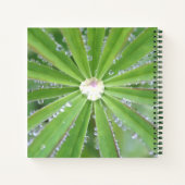 Carnet Déposer (Dos)