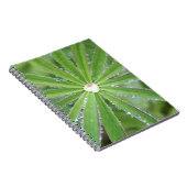 Carnet Déposer (Côté Droit)