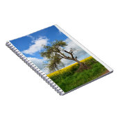 Carnet Der alte Baum (Côté Droit)