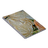 Carnet d'érable congelé (Côté Droit)