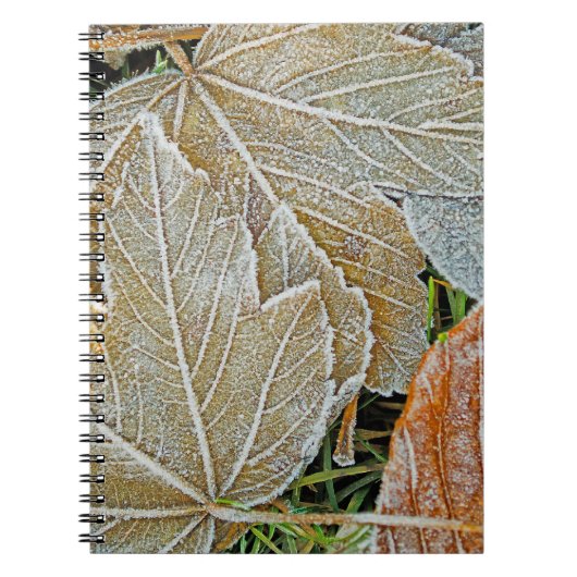 Carnet d'érable congelé (Devant)