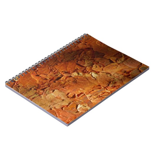 Carnet d'érable de Paperbark (Côté gauche)