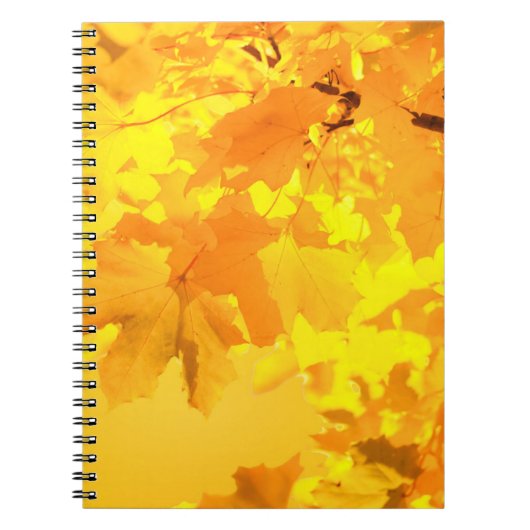 Carnet d'érable jaune (Devant)