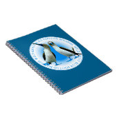 Carnet des Boobies aux pieds bleus des îles Galapa (Côté Droit)