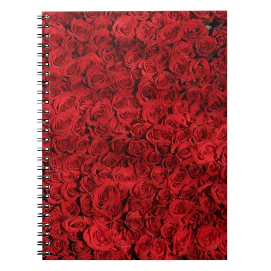 Carnet Des centaines de belles roses rouges (Devant)