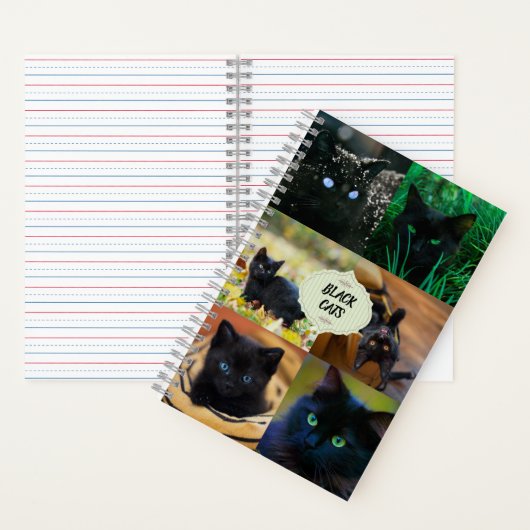 Carnet des chats noirs (À l'intérieur)