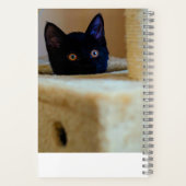 Carnet des chats noirs (Verso)