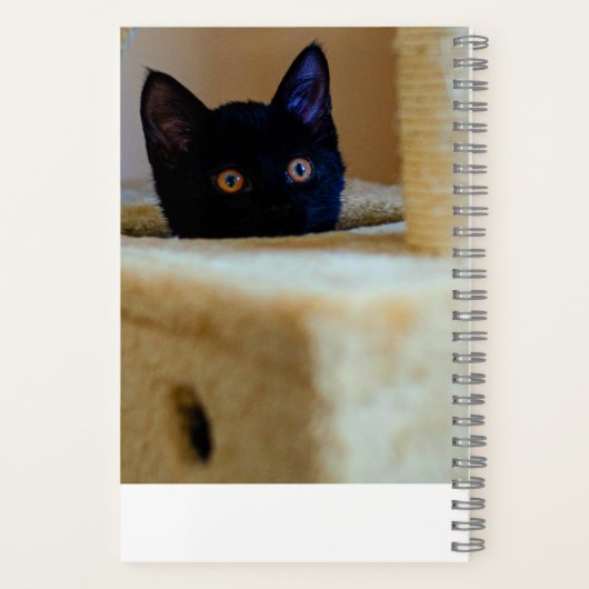 Carnet des chats noirs (Verso)