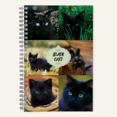 Carnet des chats noirs (Recto)