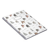 Carnet des chevaux et des petits seins (Côté Droit)