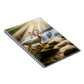 Carnet des chutes de Tranquilité (Côté Droit)