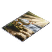 Carnet des chutes de Tranquilité (Côté gauche)