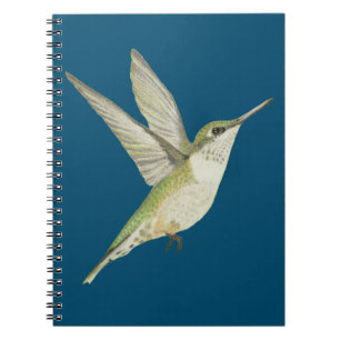 Carnet des colibris