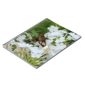 Carnet des colibris (Côté gauche)