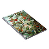 Carnet des colibris (Côté Droit)